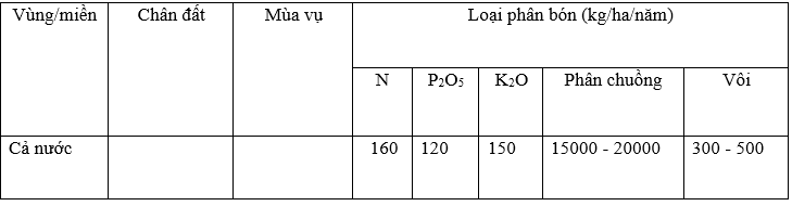 lượng bón cho tỏi_1706239841.PNG